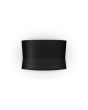 Sonos ERA 300 BLACK Smart Speaker